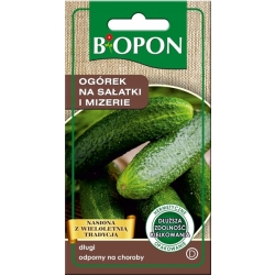 Ogórek długi na sałatki i mizerie odporny na choroby 2g nasiona Biopon