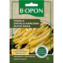 Fasola szparagowa zwykła karłowa Złota Saxa b.wczesna 22g nasiona Biopon