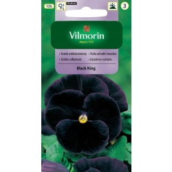 Bratek wielkokwiatowy szwajcarski Black King 0,3g nasiona - VILMORIN