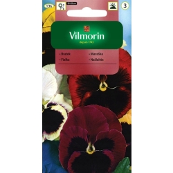 Bratek wielkokwiatowy szwajcarski mieszanka 0,5g nasiona - VILMORIN