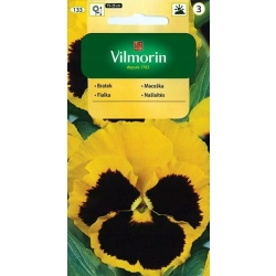 Bratek wielokwiatowy szwajcarski żółty z plamą 0,5g nasiona - VILMORIN