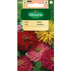 Cynia wytworna kaktusowa mieszanka 1g nasiona - VILMORIN
