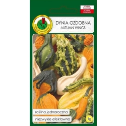 Dynia ozdobna Autumn Wings mieszana 1g nasiona PNOS