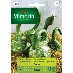 Dynia ozdobna Cobra 6szt. Nasiona VILMORIN