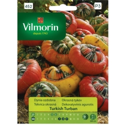 Dynia ozdobna Turkish Turban 2g Nasiona VILMORIN