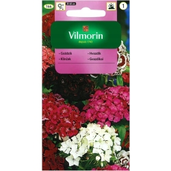 Goździk brodaty mieszanka 1g nasiona - VILMORIN