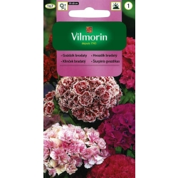 Goździk brodaty pełnokwiatowy mieszanka 0,5g nasiona - VILMORIN
