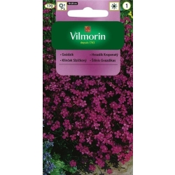 Goździk kropkowany różowy 0,5g nasiona - VILMORIN