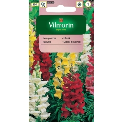 Lwia paszcza średniowysoka 40-60cm mieszanka 1g nasiona - VILMORIN