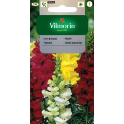 Lwia paszcza wysoka 70-90cm mieszanka 1g nasiona - VILMORIN