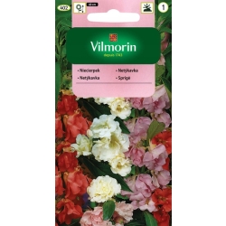 Nieciepek balsamina 1g mieszanka nasiona - VILMORIN