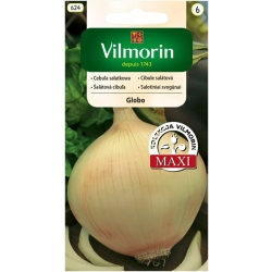 Cebula sałatkowa Globo biała nasiona 1,7g VILMORIN