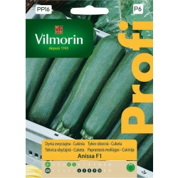 Cukinia Anissa F1 bardzo wczesna nasiona 2g Vilmorin