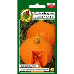 Dynia olbrzymia Justynka F1 - 2g nasiona PNOS