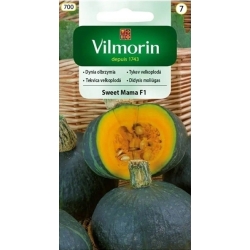 Dynia olbrzymia Sweet Mama F1 7 sztuk - nasiona Vilmorin