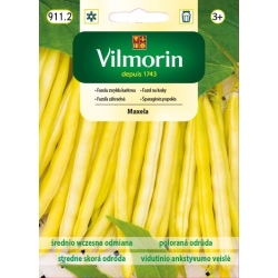 Fasola Maxela szparagowa żółta karłowa 30g nasiona - VILMORIN