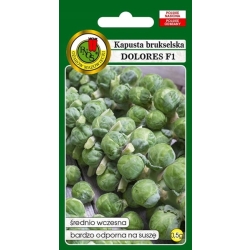 Kapusta Brukselska Dolores F1 0,5g nasiona PNOS