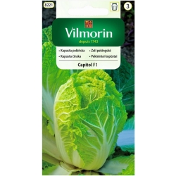 Kapusta Pekińska Capitol F1 0,5g - nasiona Vilmorin
