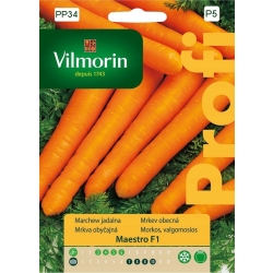 Marchew Maestro F1 2g nasiona - Vilmorin
