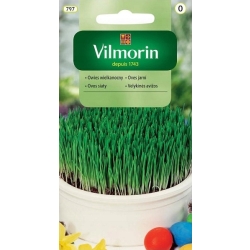 OWIES Wielkanocny 5g Nasiona - Vilmorin