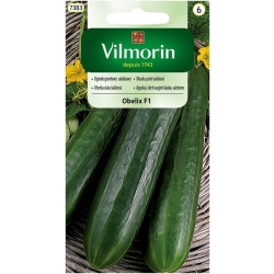 Ogórek gruntowy sałatkowy Obelix F1 3g nasiona Vilmorin