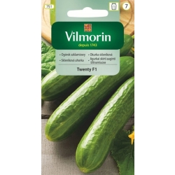 Ogórek szklarniowy Twenty F1 15 sztuk nasiona - VILMORIN