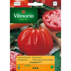 POMIDOR CORAZON F1 gruntowy wysoki Bawole Serce nasiona - VILMORIN