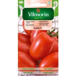 Pomidor Gruntowy Benito F1 Karłowy nasiona 10szt. - VILMORIN