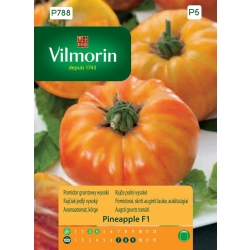 Pomidor Pineapple F1 gruntowy wysoki - 0,1g nasiona - VILMORIN