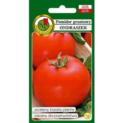 Pomidor gruntowy Ondraszek 1g nasiona PNOS