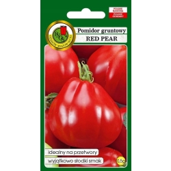 Pomidor gruntowy Red Pear 0,5g kształt gruszki nasiona PNOS