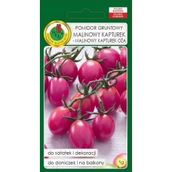 Pomidor gruntowy koktajlowy MALINOWY KAPTUREK 0,1g nasiona PNOS