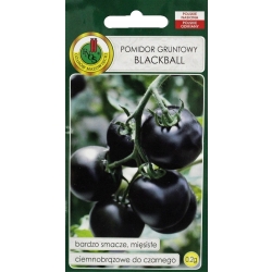 Pomidor gruntowy wysoki Blackball czarny 0,2g nasiona PNOS
