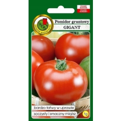 Pomidor gruntowy wysoki GIGANT odmiana średnio późna 1g nasiona PNOS