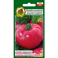 Pomidor gruntowy wysoki Malinowy Olbrzym 1g nasiona PNOS