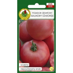Pomidor gruntowy wysoki Malinowy Ożarowski 1g nasiona PNOS