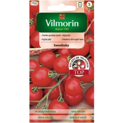 Pomidor koktajlowy Sweetbaby wysoki gruntowy 0,2g nasiona - Vilmorin