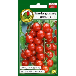 Pomidor koktajlowy gruntowy Koralik czerwony 1g nasiona PNOS