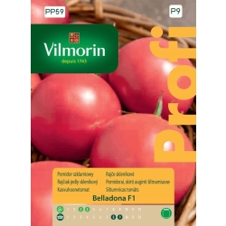 Pomidor szklarniowy BELLADONA F1 8 sztuk nasiona Vilmorin