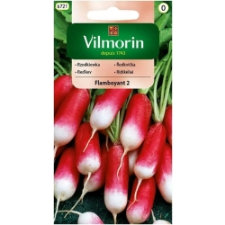 Rzodkiewka podłużna Flamboyant 2 z białym końcem 5g nasiona - Vilmorin