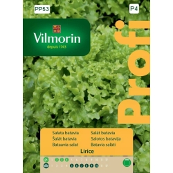 Sałata gruntowa batavia Lirice 0,5g nasiona - Vilmorin