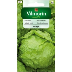 Sałata gruntowa krucha lodowa Maugli 1g Nasiona Vilmorin