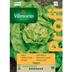 Sałata gruntowa masłowa Sages 0,5g nasiona - Vilmorin