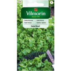 Sałata liściowa Salad Bowl 1g nasiona - Vilmorin