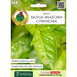 BAZYLIA właściwa CYTRYNOWA nasiona 0,5g PNOS