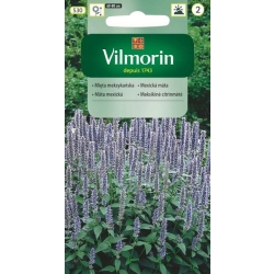 Mięta Meksykańska 0,1g aromatyczna Nasiona - VILMORIN